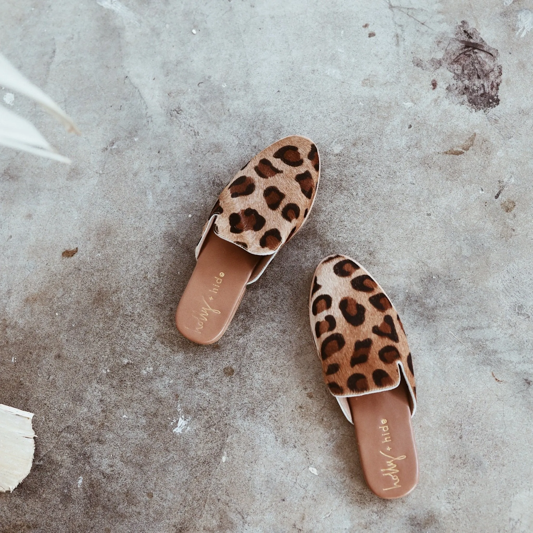 Carrie Brown Leopard