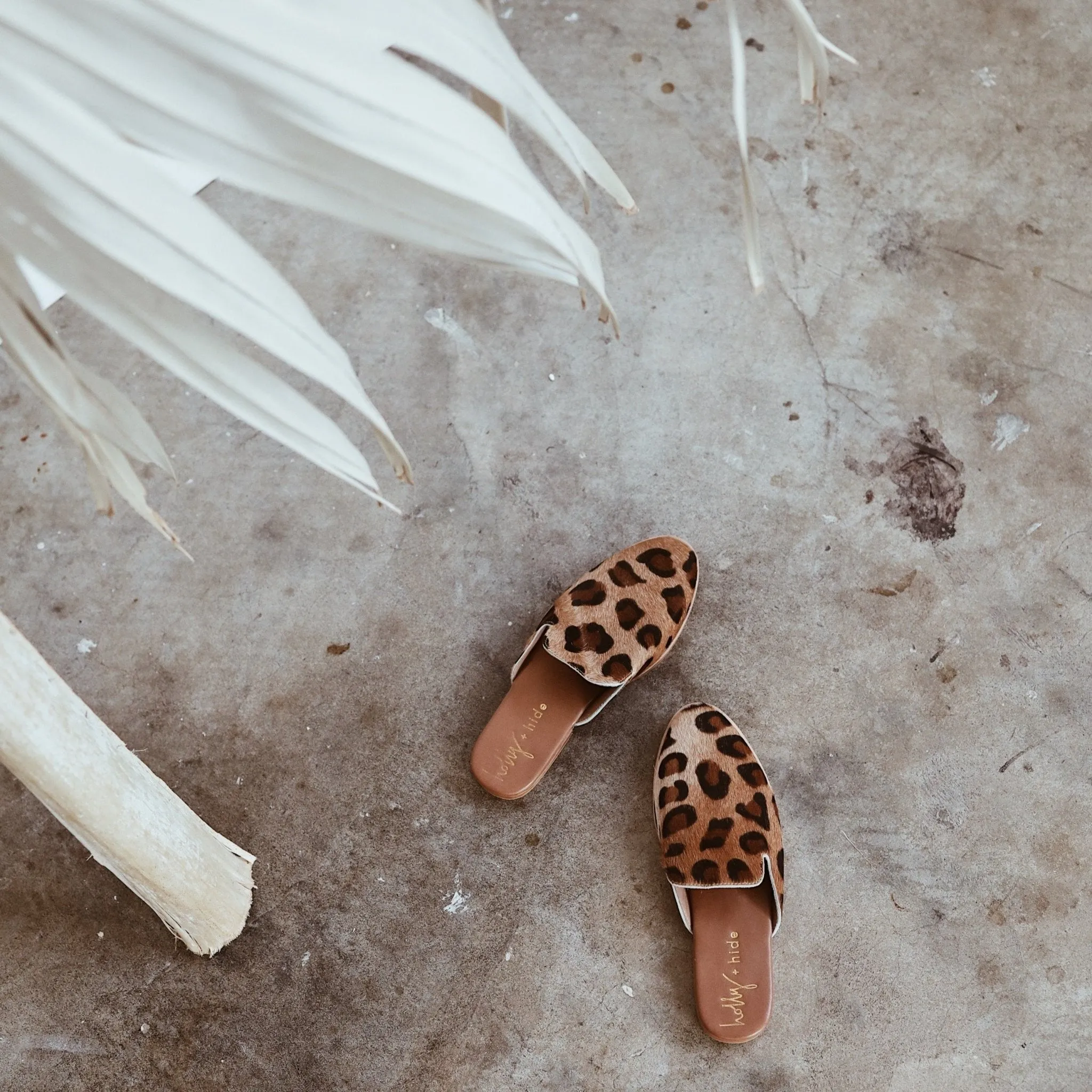 Carrie Brown Leopard
